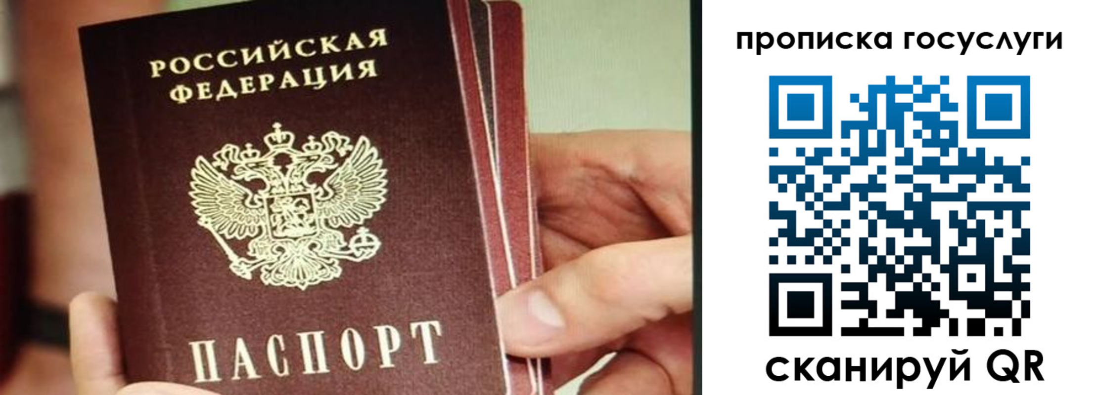 пропишу в квартире в Темрюке
